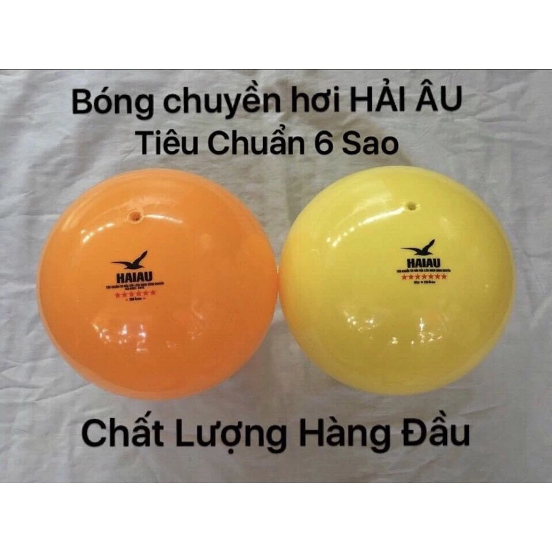 Bóng chuyền hơi Hải Âu HKS Sport CHÍNH HÃNG, bóng chuyền hơi chất lượng 6 sao 7 sao tặng kèm lưới kim bơm bóng