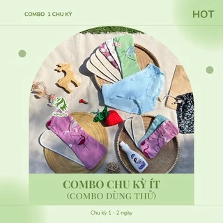 Băng vệ sinh vải Wingpad - COMBO 1 CHU KỲ ÍT - COMBO DÙNG THỬ - Kiểu LÕI RỜI nền xám