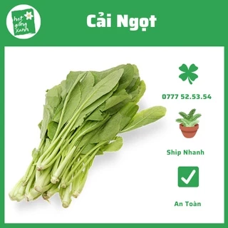 Hạt Giống Cải Ngọt 20gr, Nảy Mầm Chuẩn Trên 90%