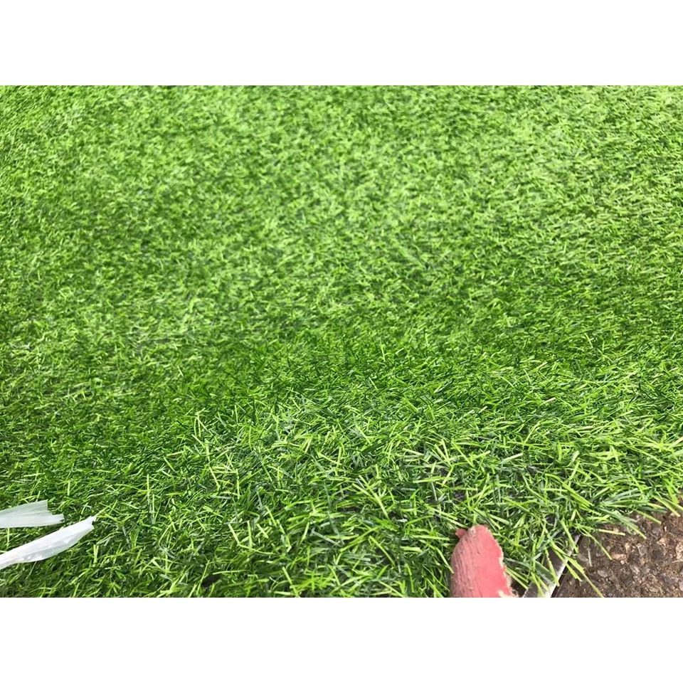 Thảm cỏ nhân tạo trải sàn , trải sự kiện , trang trí loại cỏ 2cm