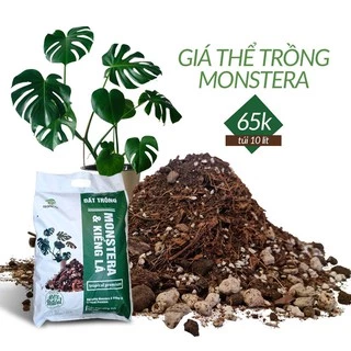 Đất trồng - giá thể trồng Monstera và kiểng lá Tropical Premium - túi 3kg - Ban Công Xanh