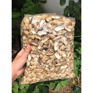 1kg Vỏ Lạc (Đậu Phộng) trồng lan, trộn đất trồng rau, cây cảnh giúp tăng độ đạm và nitơ cho đất