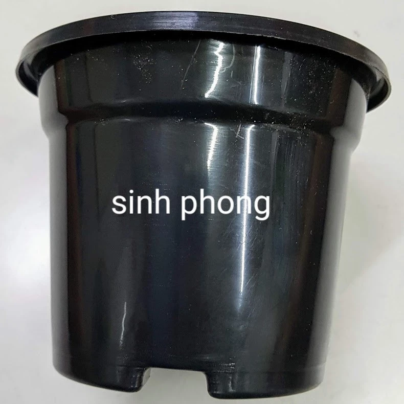 Chậu tròn 13x11 đen (Set 100 cái)