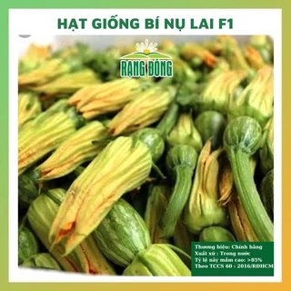 Hạt giống bí nụ lai F1 giòn ngon - rau củ quả trồng chậu, sân vườn chịu nhiệt 4 mùa tỉ lệ nảy mầm cao 0.5gr GITA 330