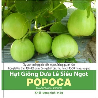 Hạt giống dưa lê siêu ngọt