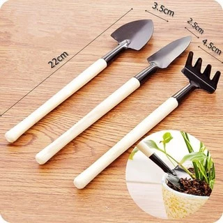 Bộ 3 Món Dụng Cụ Làm Vườn Mini Trồng Cây Cảnh, Sen Đá, Xương Rồng, BonSai