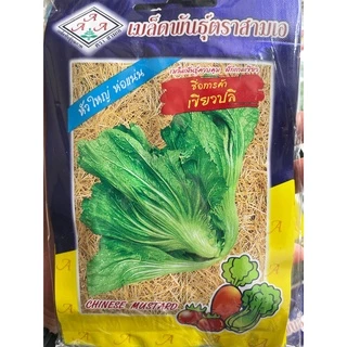 Hạt giống rau Cải dưa đông dư (Cải bẹ muối dưa mù tạt xanh) nhập Thái lan nguyên gói (Chinese Mustard)