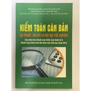 Sách - Kiểm Toán Căn Bản - Lý Thuyết, Câu Hỏi Và Bài Tập Trắc Nghiệm ( TS. Trần Mạnh Dũng )