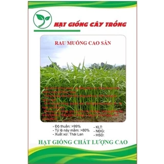 Hat giống rau muống cao sản lá tre CT14 - Gói 20gram