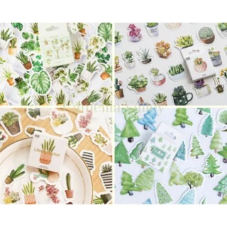 Bộ sticker nhãn dán vẽ màu nước small plants