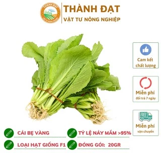 Hạt giống rau cải bẹ lá vàng (cải canh lá vàng) gói 20gr~4000 hạt