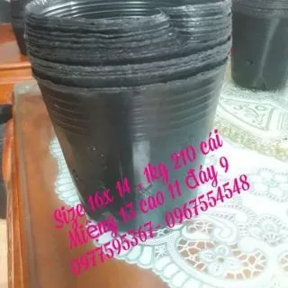 1kg bầu ươm cây size 16x14 / 210 cái