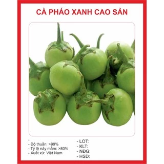 Hạt giống Cà Pháo Xanh 1gram