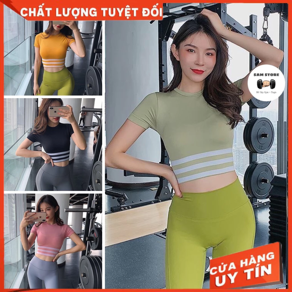 Áo tập Gym [CROPTOP ĐẸP] dáng tay ngắn chất co giãn hàng nhập Quảng Châu