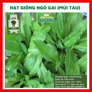 Hạt giống rau ngò gai (mùi tàu) - rau củ quả trồng chậu, sân vườn ban công ngon giòn ngọt nảy mầm cao 10g RADO76