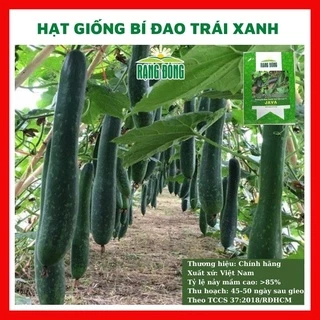 Hạt giống bí đao xanh trái dài  - rau củ quả trồng chậu, sân vườn ban công tỉ lệ nảy mầm cao 0.2gr Java