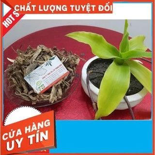 Cây Lược Vàng 500g Khô/Tươi - Hàng Tự Nhiên 100%