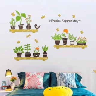 Decal dán tường Chậu cây hoa xương rồng 07