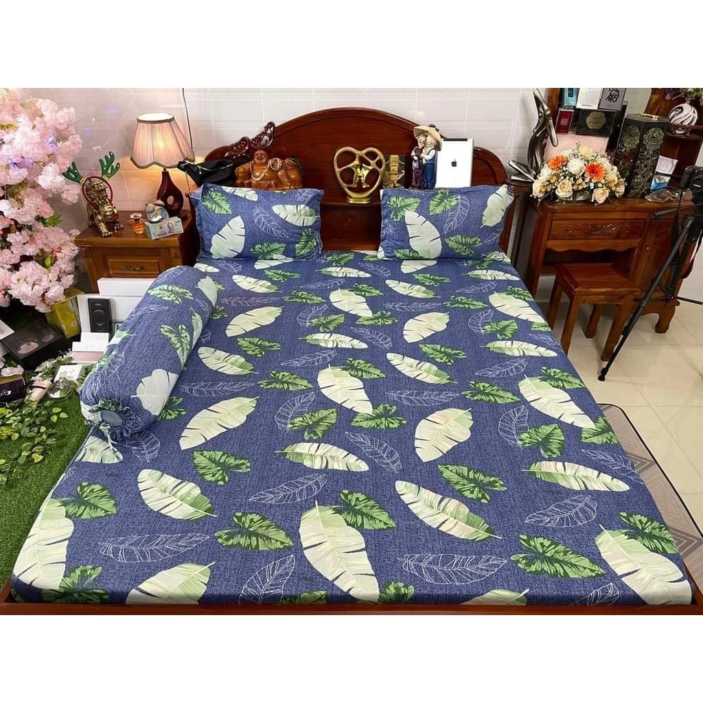 bộ drap thun vừa rẻ vừa đẹp, nhiều mẫu xinh