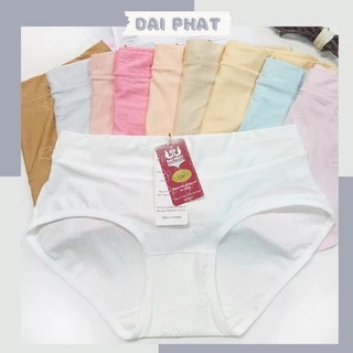 Set 10 quần lót nữ cao cấp cotton ĐẠI PHÁT họa tiết ngôi sao siêu kháng khuẩn phong cách dễ thương 40-50kg