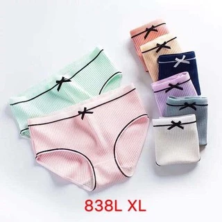 Set 5 quần lót cotton tăm viền kẻ có nơ hàng cao cấp 028