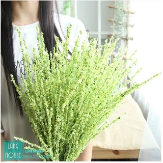 Hoa Giả Hoa Lụa - CÀNH LIỄU SALIX Loại 1 Giống Thật