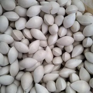 100g Bạch quả tươi