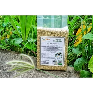 Gạo Lứt Nhật Japonica 1.5kg AnFood