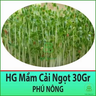 Hạt Giống Rau Mầm Cải Ngọt Phú Nông Giàu Dinh Dưỡng