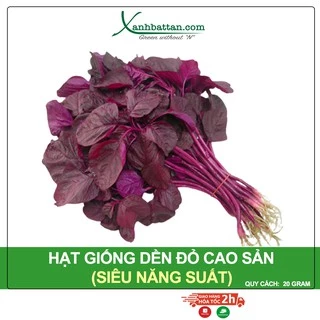 Hạt Giống Rau Dền Đỏ Phú Nông Gói 20 Gram