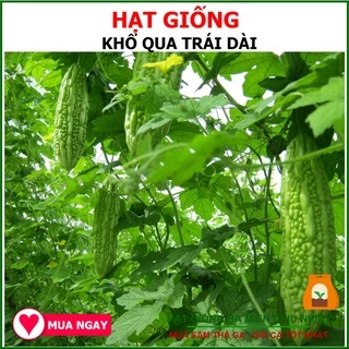 2Gram Hạt Giống Khổ Qua Trái Dài