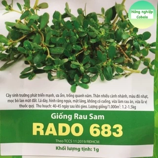 Hạt Giống Rau Sam (RADO683) 1gr