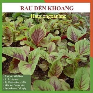 Hạt Giống Rau Dền khoang rau dền 3 mầu (ba mầu) Dễ Chăm Sóc Thu hoạch nhanh loại rau củ quả Trồng quanh năm