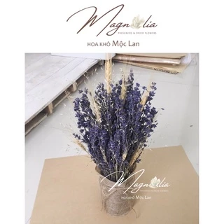 Set hoa khô decor cao cấp ❤️FREESHIP❤️ Hoa khô True Lavender mix Indian Rice Grass, Lúa mạch US trang trí chụp ảnh