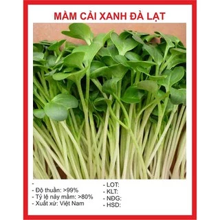 Combo 3 gói hạt giống rau ăn mầm cải xanh Đà Lạt