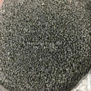 50 gram Hạt É Sạch loại 1