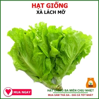 Hạt Giống Rau Xà Lách TN 579 Trang Nông 10gram