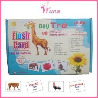 Bộ thẻ học thông minh size lớn khổ A5 15*21 - Flashcard cho bé