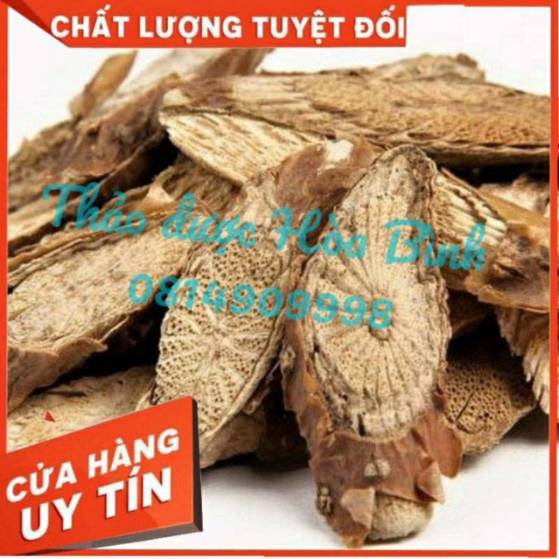 [ Shop Mới ] DÂY ĐAU XƯƠNG - Tục Đoạn Nam - Hàng mới,  khô,  sạch,  chuẩn