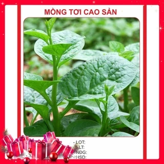 Hạt Giống Mồng Tơi Cao Sản 10gr