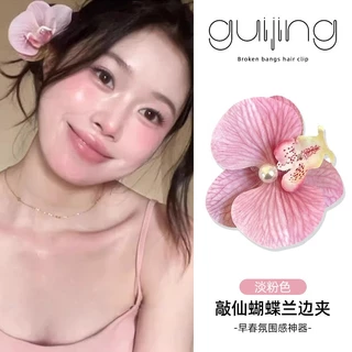 Pure Desire Gió Xanh Phalaenopsis Kẹp Tóc Kẹp Bên Kẹp Hoa Mô Phỏng Hoa Kẹp Tóc Mũ Đội Đầu Phụ Kiện Tóc Bên Biển Đồng nữ 1k kẹp hoa sứ kẹp tóc hoa sứ kẹp tóc hoa set kẹp tóc con cá  dép nữ kẹp tóc con sò  kepj hoa sứ