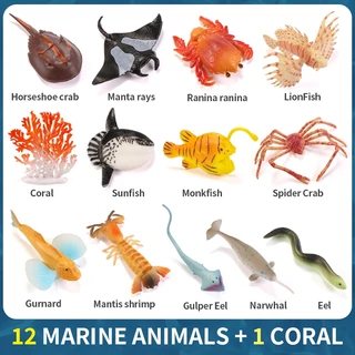 Mini Sea Life Cá Mập Cá Voi Chim Cánh Cụt Cá Heo Rùa Rays Bộ Mô Hình Đại Dương Động Vật Nhân Vật Hành Động Thu Nhỏ Đồ Chơi Giáo Dục