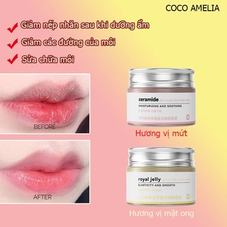 Cca-lip Care Film Chăm sóc môi Bảo vệ môi Môi dưỡng ẩm