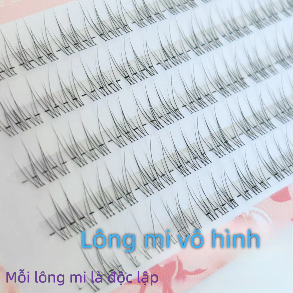 Lông mi giả đuôi cá trong suốt, thân trong suốt, lông mi phân đoạn siêu mịn