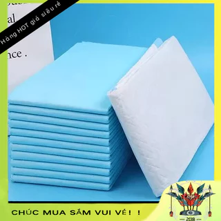 [SẴN] Tấm Lót Cho Mẹ Sau Sinh Chiếc Dùng Một Lần Giường Đệm Cho Người Lớn Cao Tuổi Mẹ Bé- tấm lót đệm 10 Chiếc BeautyTop01