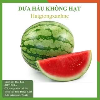 Hạt giống dưa hấu không hạt cao sản sai quả ngọt (dưa hấu mặt cười khổng lồ - dưa hấu mặt cười)  Gói 20 hạt.