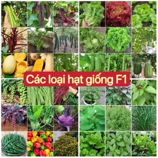 Hạt giống các loại rau, củ, quả, chất lượng cao F1, trồng quanh năm