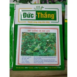 Hạt giống cà gai leo - Rau củ quả trồng tại vườn, sân thượng, nông trang, ban công