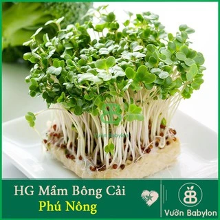 Hạt Giống Mầm Bông Cải Xanh 20Gr