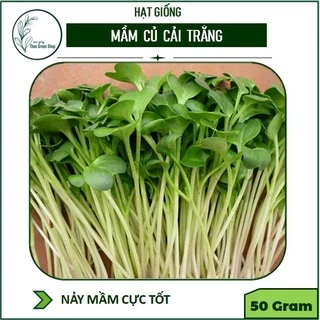 Hạt Giống Rau Mầm Củ Cải Trắng 50gr